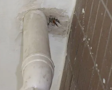 屯溪漏水检测哪家好